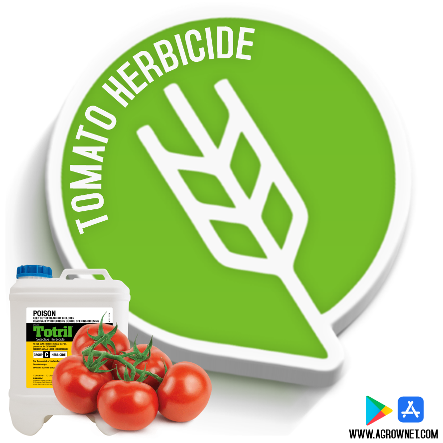 Tomato Herbicide Understanding Tomato Herbicide The Basics And Best tomato-herbicide-understanding-tomato-herbicide-the-basics-and-best
