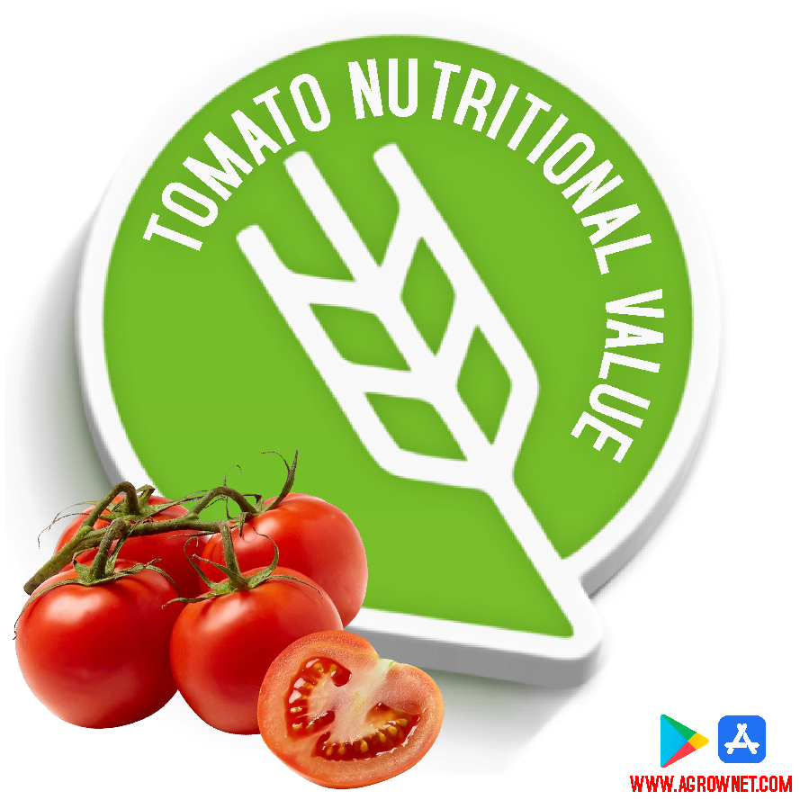 🍅 Tomato Nutritional value Tomato Nutrition Facts and Health Benefits